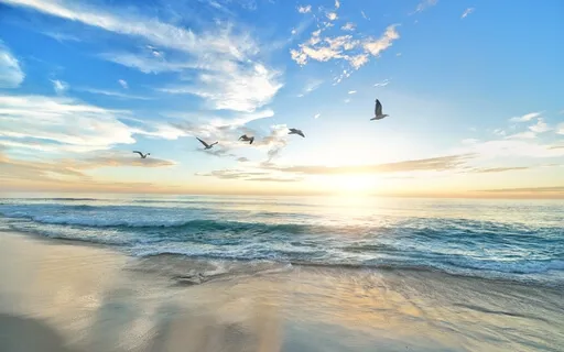 Break The Blame Chain