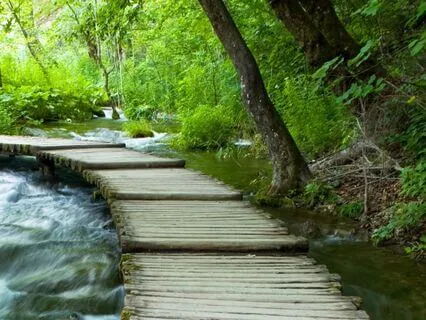 Break The Habit With Fierce Self-Love