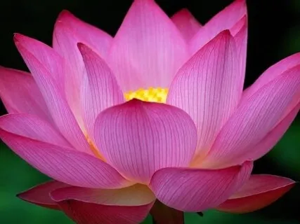 Breakdown? What Breakdown?