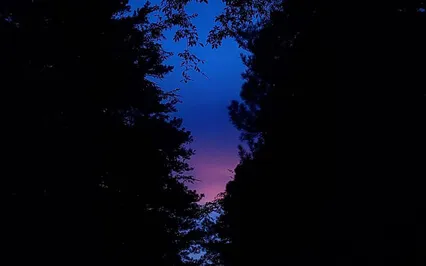 Breaking Bad Habits: Inviting Self-Acceptance 