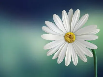 Breaking Down Barriers: The Pitfalls Of Judging Others