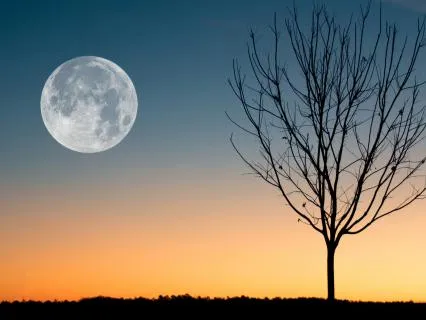 Breaking Emotional Patterns & Claiming Your Truth