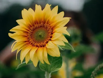 Breaking Free From Anxiety D1