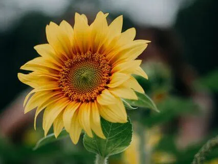 Breaking Free From Anxiety D8