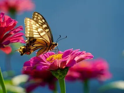 Breaking Free From Instant Gratification