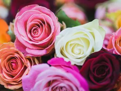 Breaking Free From Judgment: The Label Is Not The Person