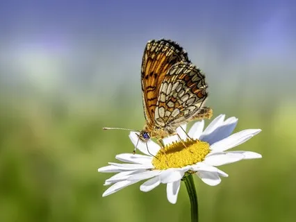 Breaking Free From Masks