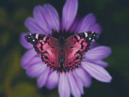 Breaking Free From Perfectionism: The Deep Work (With Music)