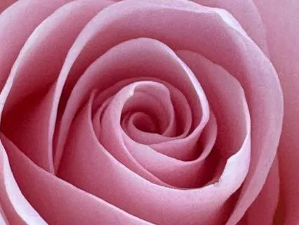 Breaking Free Of Illusion With Mother Mary's Help