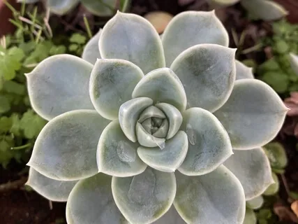 Breaking Out Of Isolation