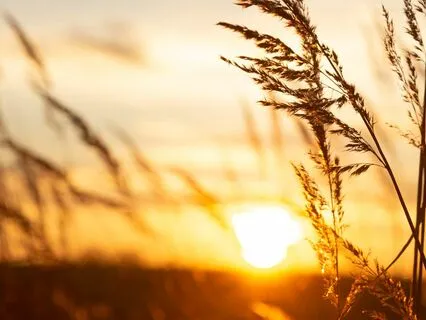 Breaking Recurring Negative Patterns: Finding The Meaning