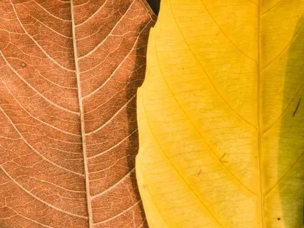 Breaking The Cycle: A Meditation For Momentum