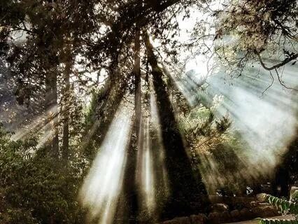 Breaking Through Heavy Energy (Reiki Infused)