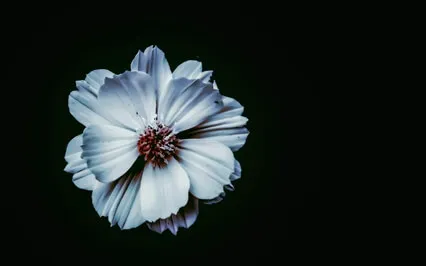 Breaking Through Self-Sabotage