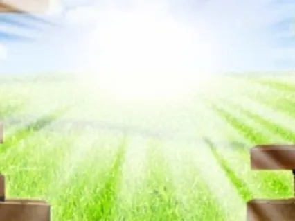 Breaking Through The Barrier To Your True Life Purpose