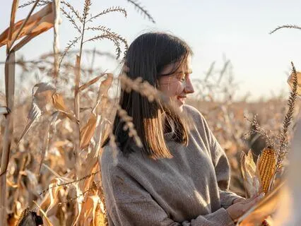 Breaks Of Bliss: Pause And Unwind