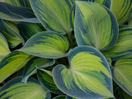 Breakthrough Ballad - Breaks In The Silence