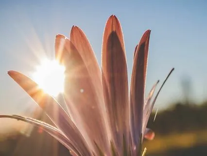 Breakthrough Prayer: God Will Make A Way