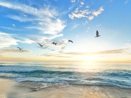 Breaktime Relaxation - Let Go, Destress, Be Still & Just Be You (15 Minutes)