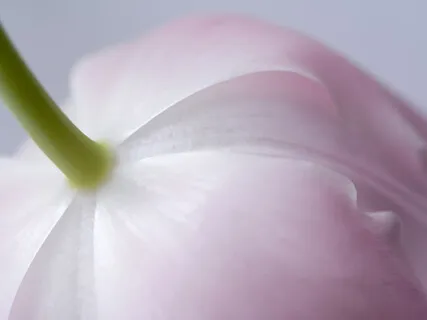 For Women: Self-Love Massage