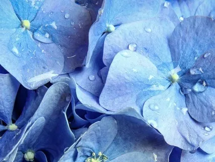 Breastfeeding And Overwhelm