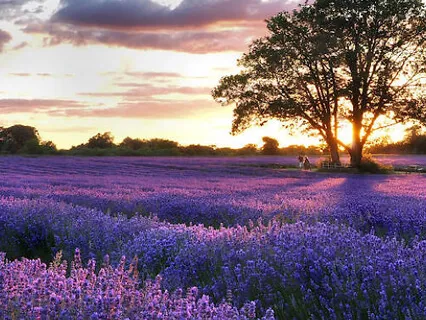 Breastfeeding Meditation