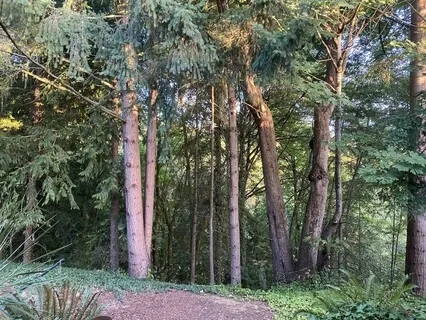 Breath & Autogenic Training Meditation