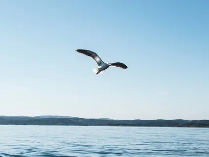 Breath And Body Awareness