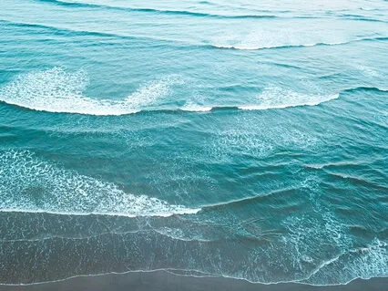 Breath & Body-Focused Mindfulness Meditation  