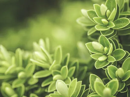 Breath And Body Meditation For Focus And Awareness