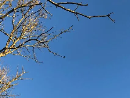 Breath And Body Meditation