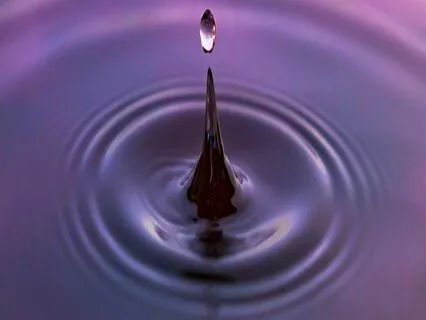 Breath And Body Meditation