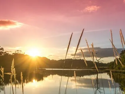 Breath And Body Scan Meditation For Mindfulness