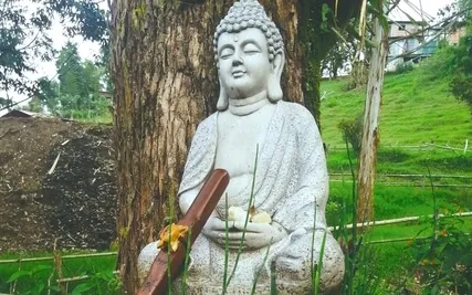 Breath And Connect, Conecta Con Tu Respiración.