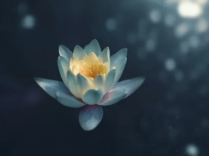 Breath & Ground Yourself