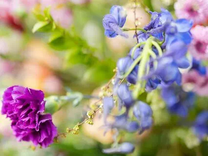 Breath And Self-Compassion Meditation For The End Of Day