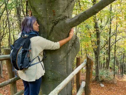 Breath And Step: Aligning With Your Inner Peace