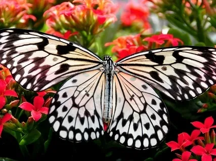 Breath & The Bliss Of Being