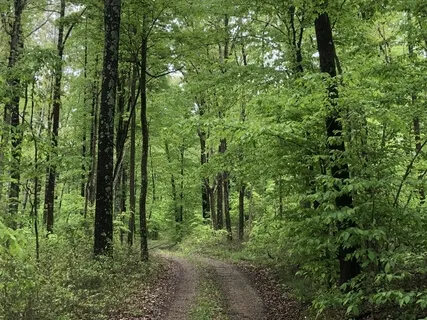 Breath As The Path To Gratitude