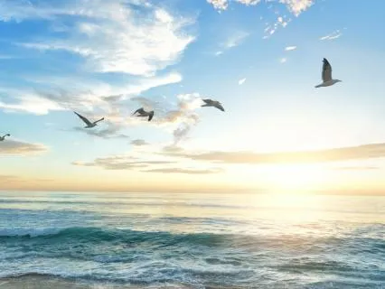 Breath Awareness (6 Minutes Of Bliss)