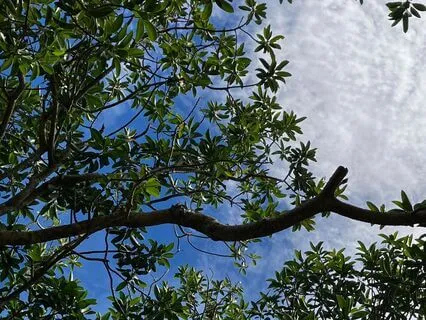 Breath Awareness: Ancient Wisdom Meets Modern Science