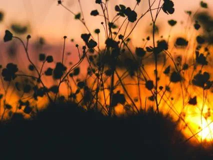 Breath & Body Scan To Calm Anxiety