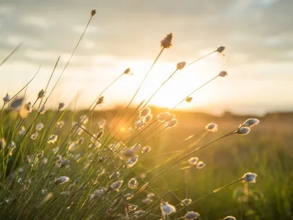 Breath, Awareness And Resilience - Black History Reflections