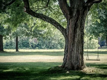 Breath Awareness And Visualisation Of Being On A Swing