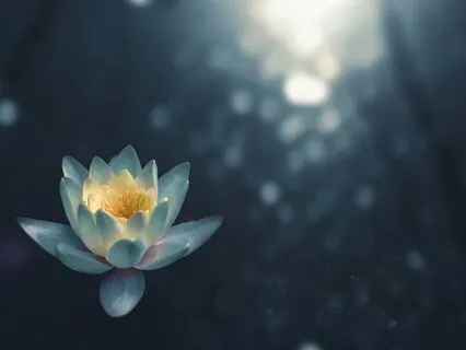 Breath Awareness Beginner Meditation