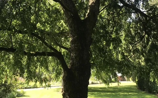 Breath Awareness Breath Practice