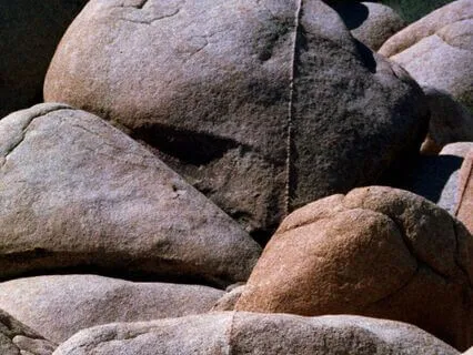 Breath Awareness ~ Exploring The Land Of Your Body