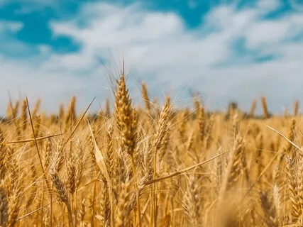 Breath Awareness | Great for Beginners | 30 Day Meditation Challenge For 2020