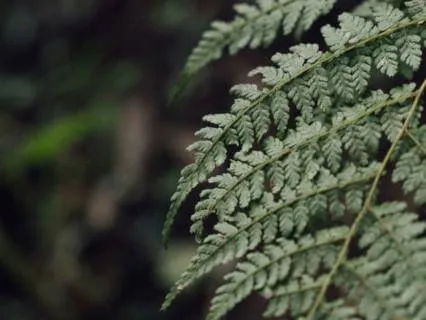 Breath Awareness - Learning To Arrive