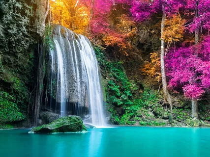 Breath Awareness Practice